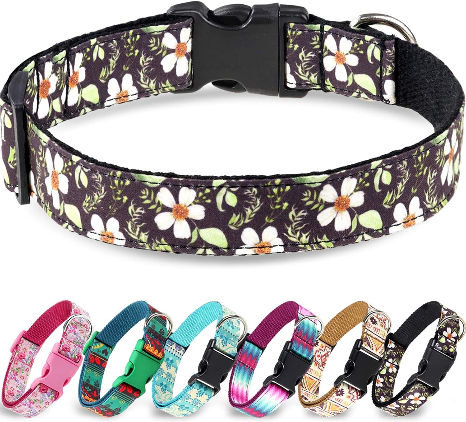 accendere il collare per cani di piccola taglia