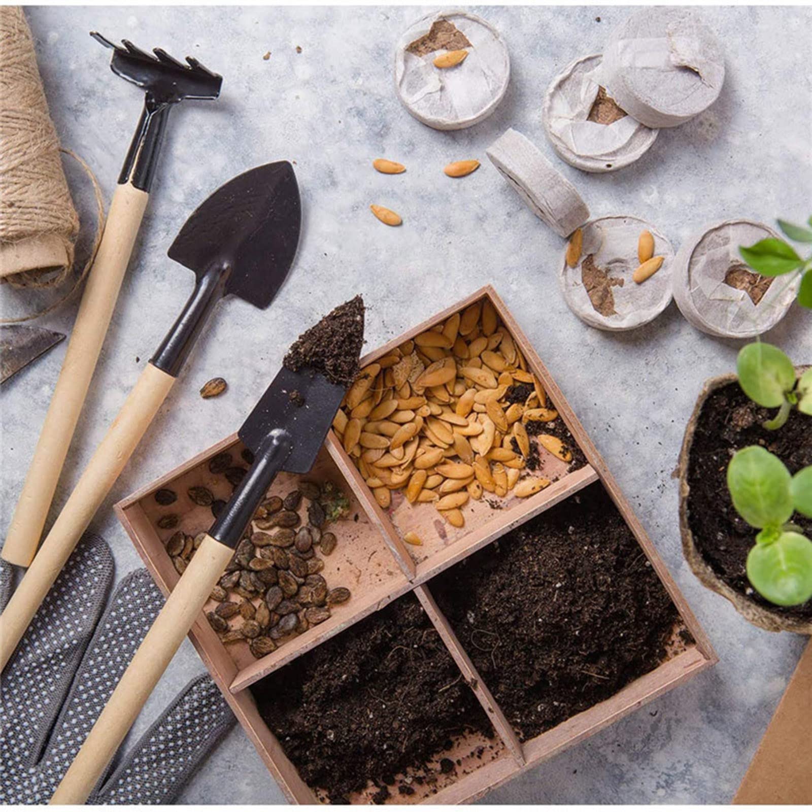 Beginner-Friendly Gardening Tools: Essential Picks for Easy Success