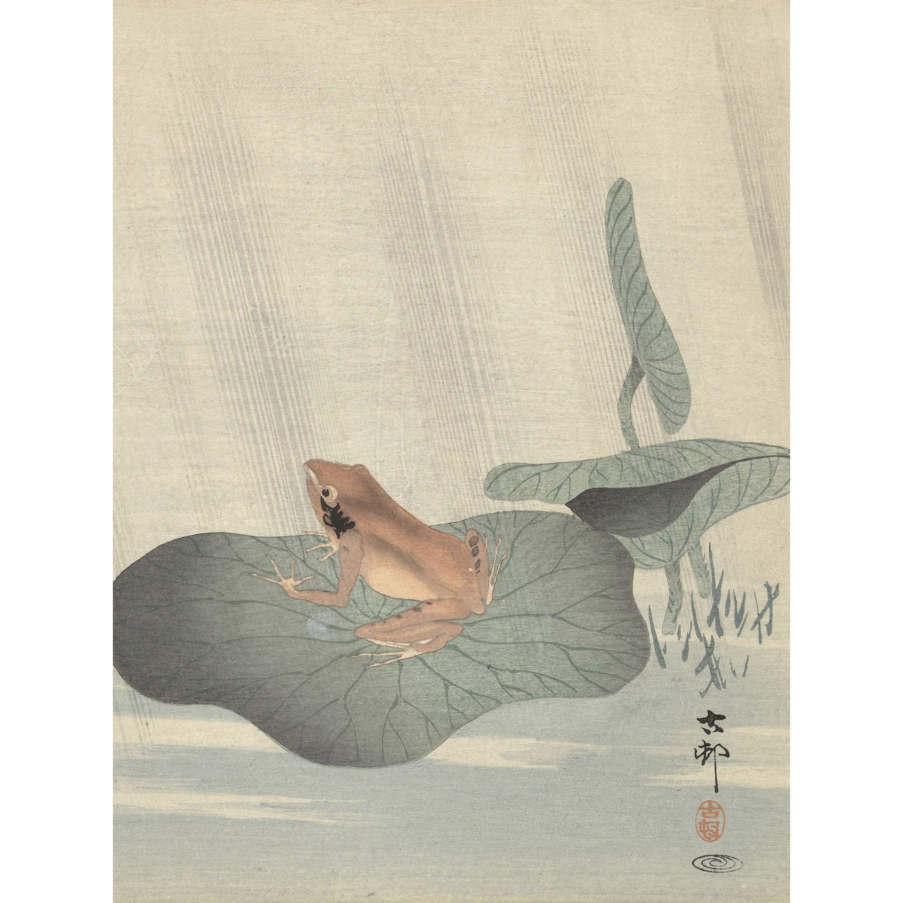 Artery8 Ohara Koson Frog Lotus Leaf Pond Japanese Painting Premium Wall Art Canvas Print 18X24 Inch