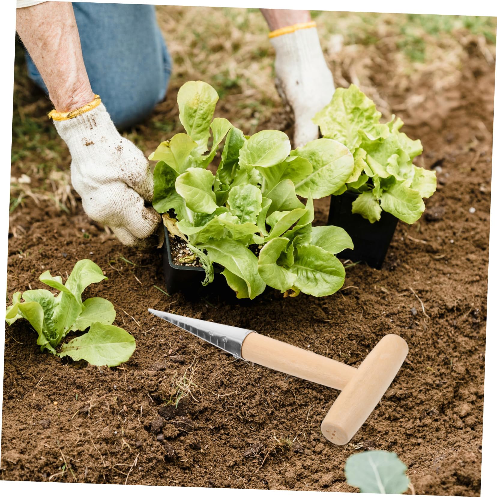 ibasenice 5 Pièces Outil de Jardinage Ergonomique Inoxydable pour Semis Transplantation Dibber à Main Confortable pour Creuser Planter Fleurs