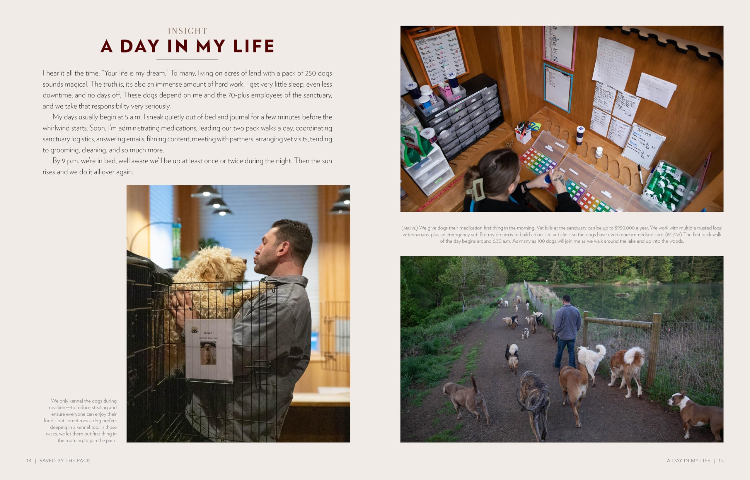 Saved by the Pack: How 50 Dogs Helped Me Find My Purpose