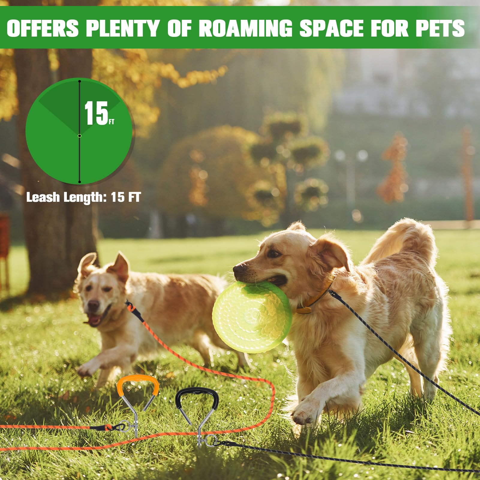 Mihachi Dog Tie Out Stake and Long Dog Leash - Image 2