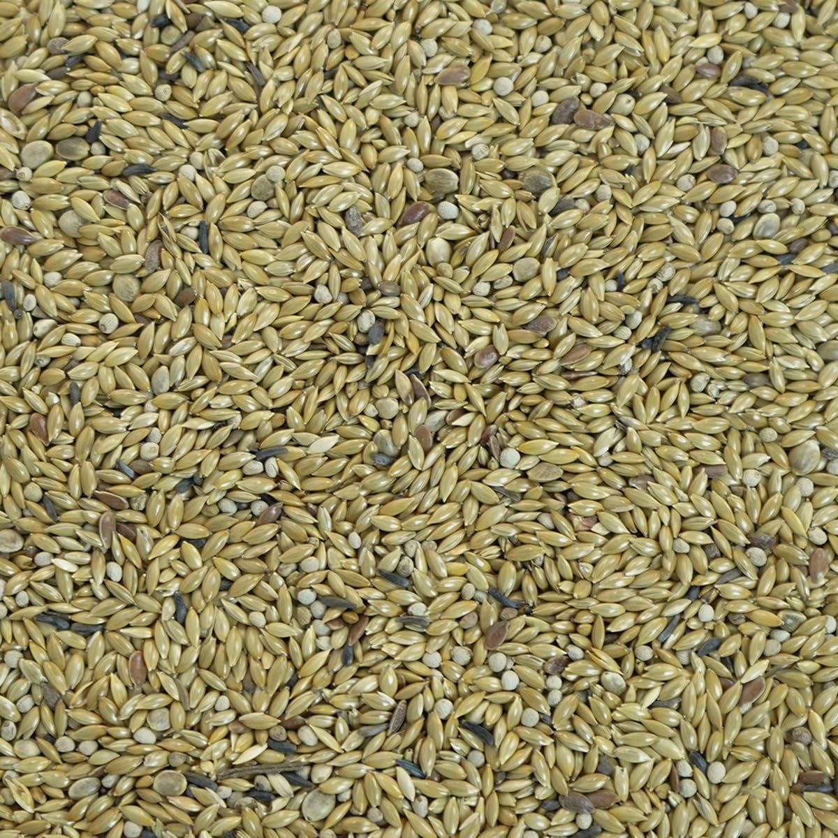 Mixtura Semillas para Canarios sin doré - Alimento Completo Premium para los criadores mas exigentes - 20kg