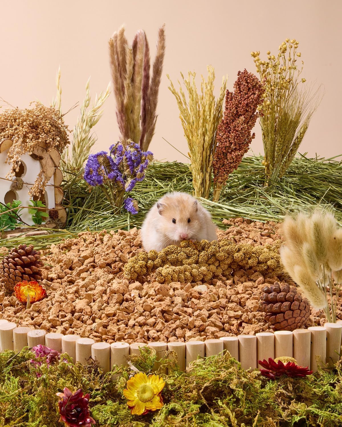 BUCATSTATE 90 pièces de literie naturelle pour hamster – fleurs, herbes et sprays pour décoration d'habitat de cage | Traitez les céréales pour gerbilles syriennes naines, souris, rat, fourrage, enrichissement.