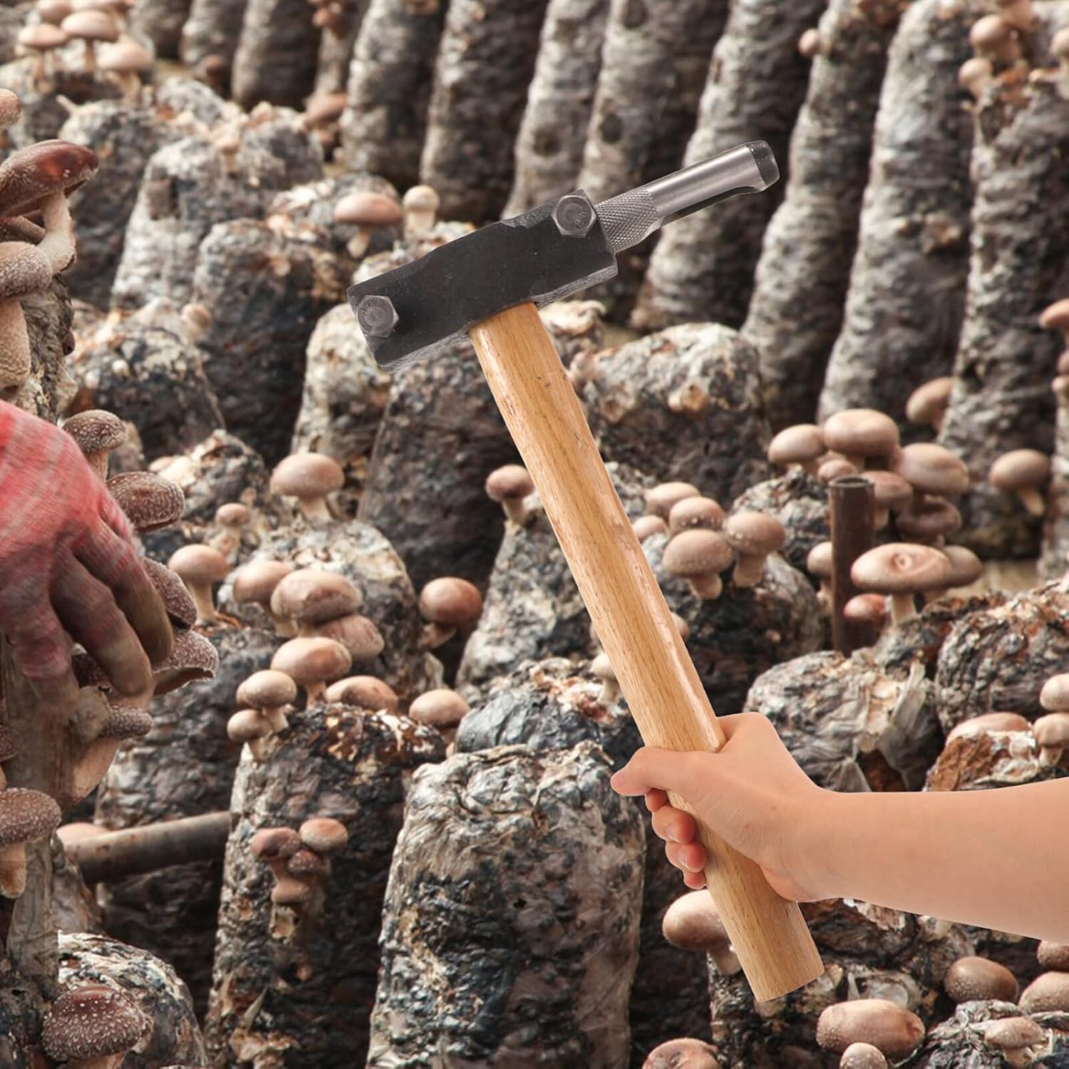 Yardwe Wood Inoculation Tool Mushroom Growing Supplies Multi-function Punching Hammer