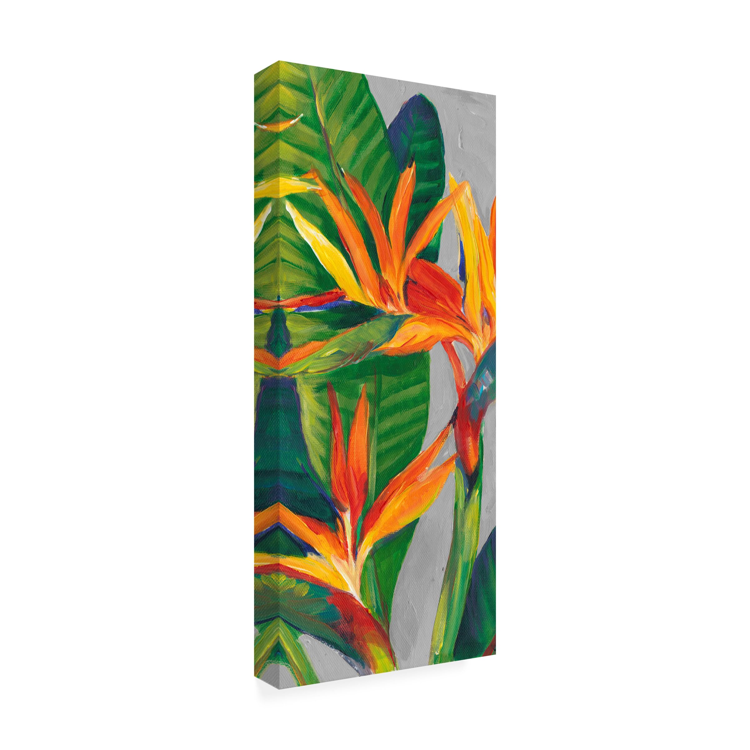 Wrapped Canvas Wall Art - Tim Otoole Bird of Paradise Triptych Ii Wall Art for Living Room Bedroom