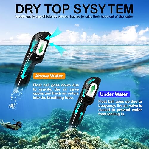 Miniatura 4 de Blue Planet Juego de esnórquel seco y máscara de buceo, equipo de esnórquel para adultos, máscara de esnórquel antivaho - Máscara de buceo para