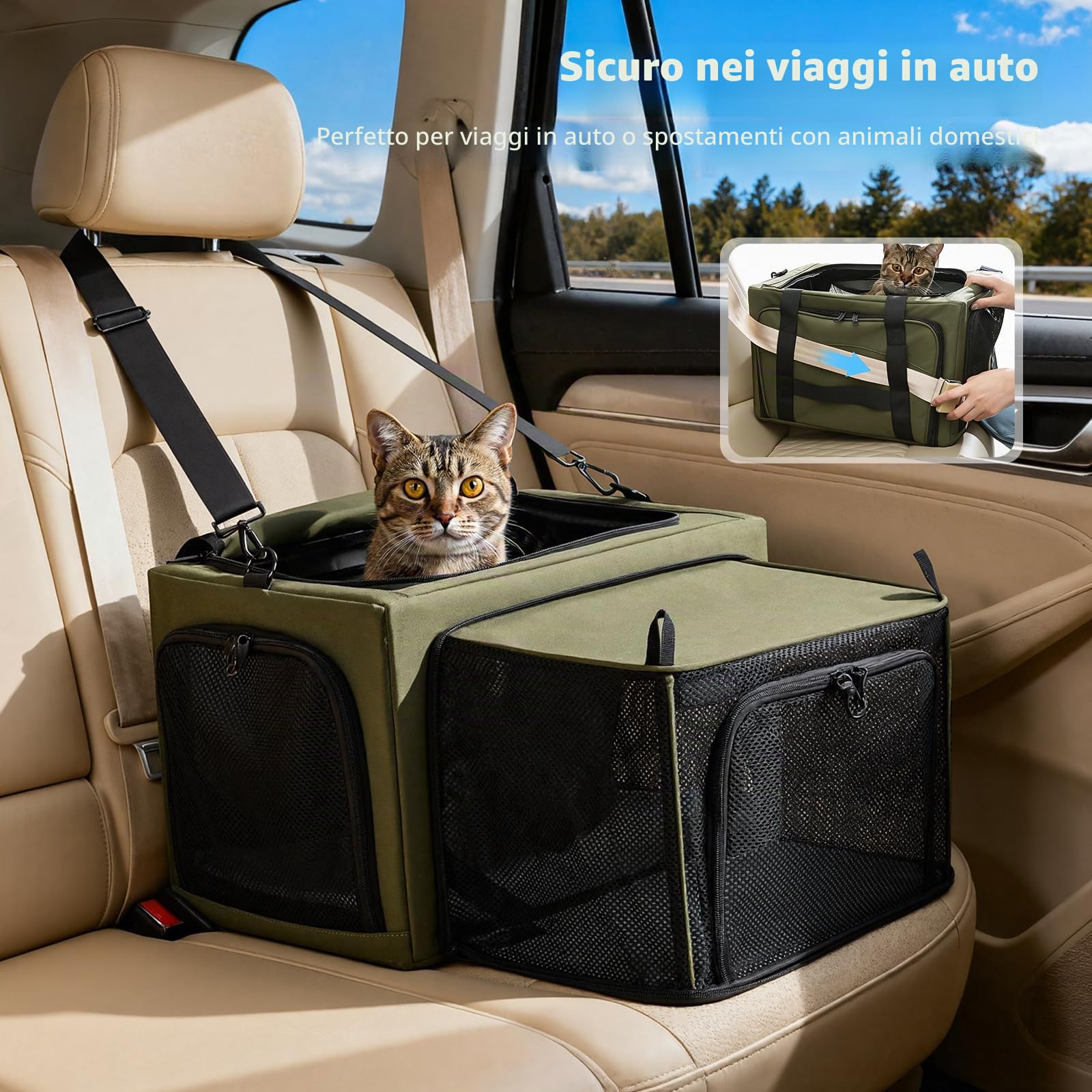 Pecute Trasportino per gatti espandibile, con struttura stabile, traspirante, ampio spazio, trasportino portatile adatto per viaggi comodi, doppia borsa espandibile, verde