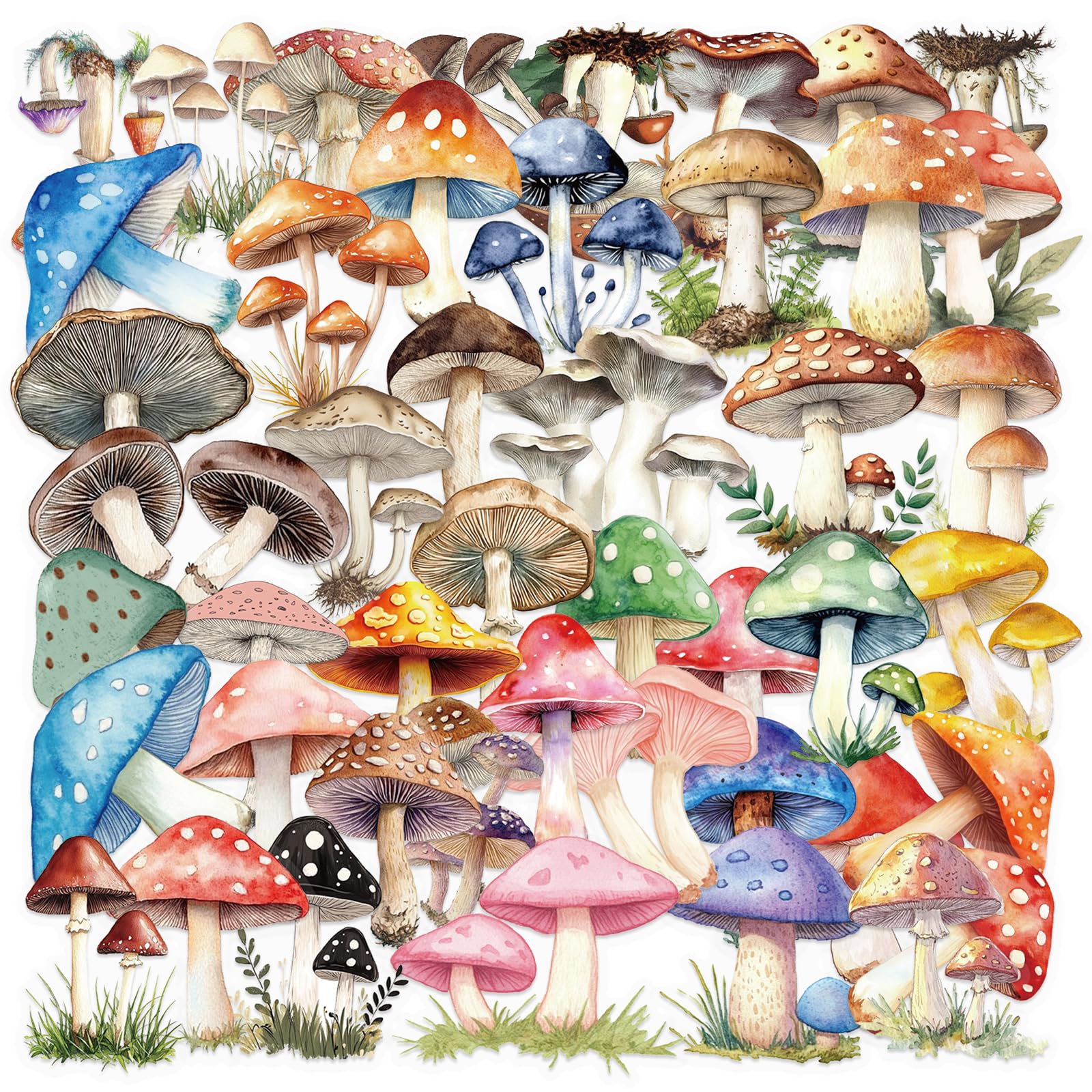 Mushroom Stickers Pack, 50Pcs Transparent PET Aesthetic Mushroom Decals for Water Bottles Laptops and Journals - Image 2