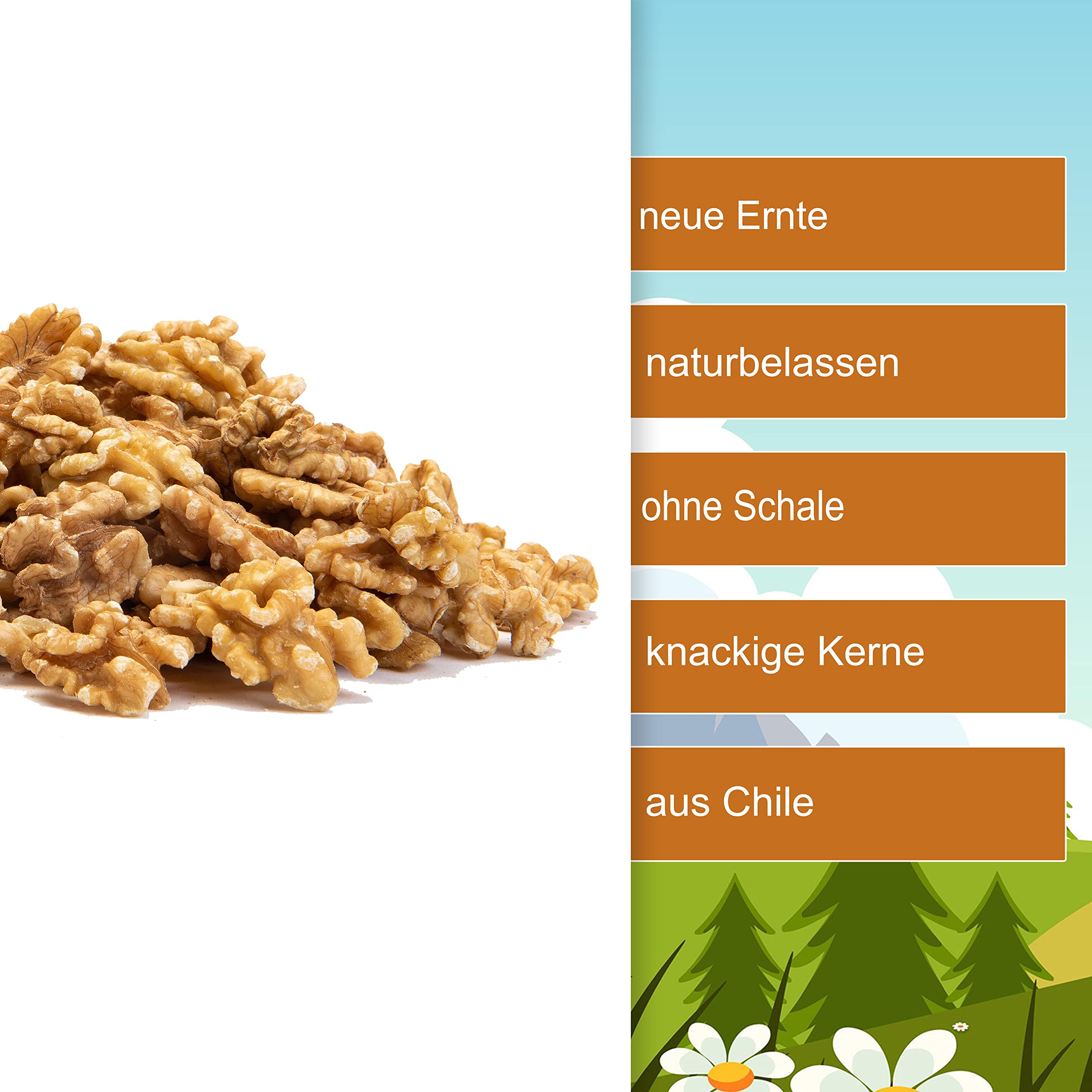 Walnüsse Walnusskerne 2kg - ganze Walnuss Kerne ohne Schale neue Ernte ganze geschälte Kerne roh vegan - ungesalzen unbehandelt ungeschwefelt - 100% Natur Walnuss Kerne aus Chile (2kg)