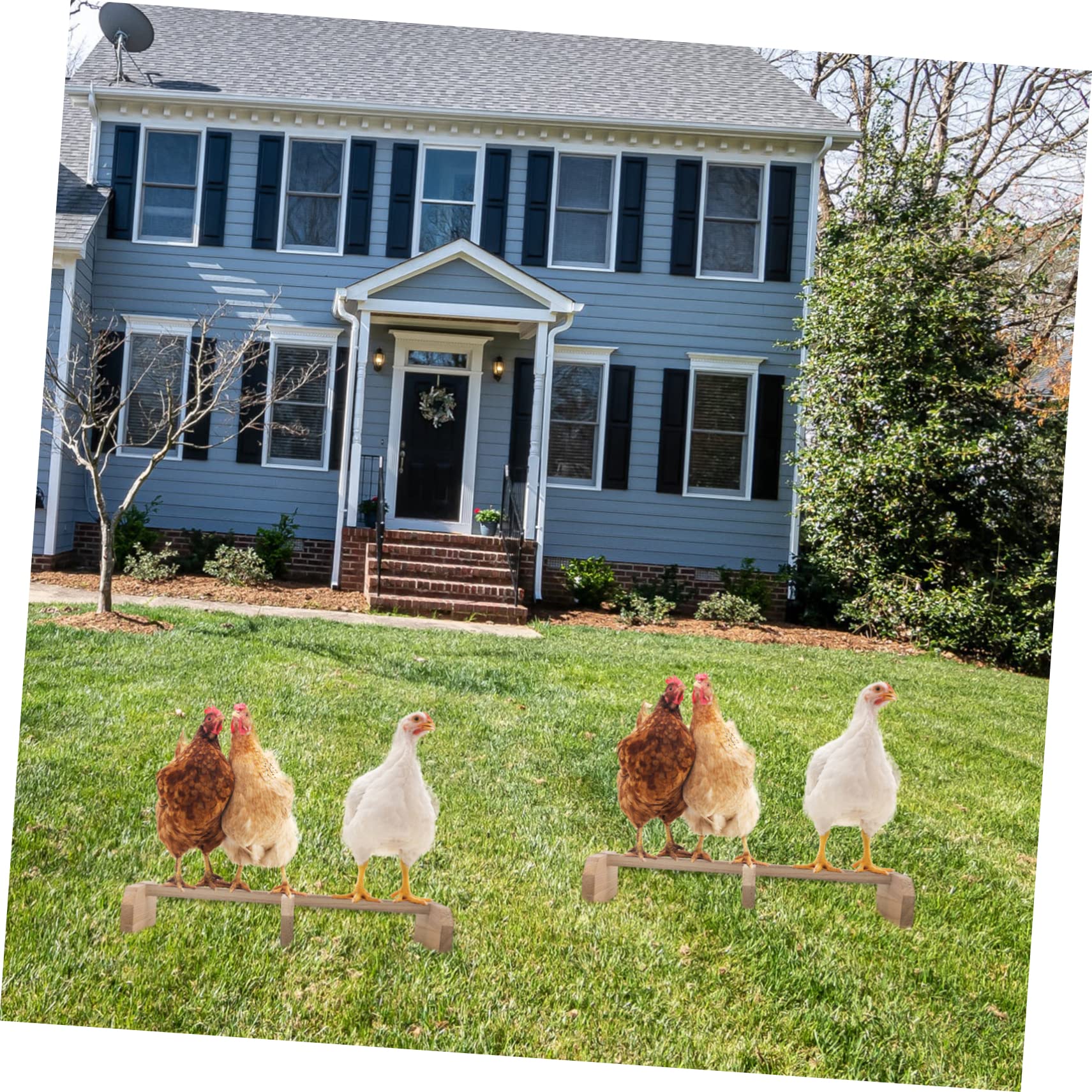 minkissy 2 Soportes para gallina Jaula de pájaros Perca Periquito Juguetes Perchas Aves de Corral Perca Pollo Columpio Juguetes Soporte para pájaros Estante de Pollo Ropa de Cama de Pollo gallinero