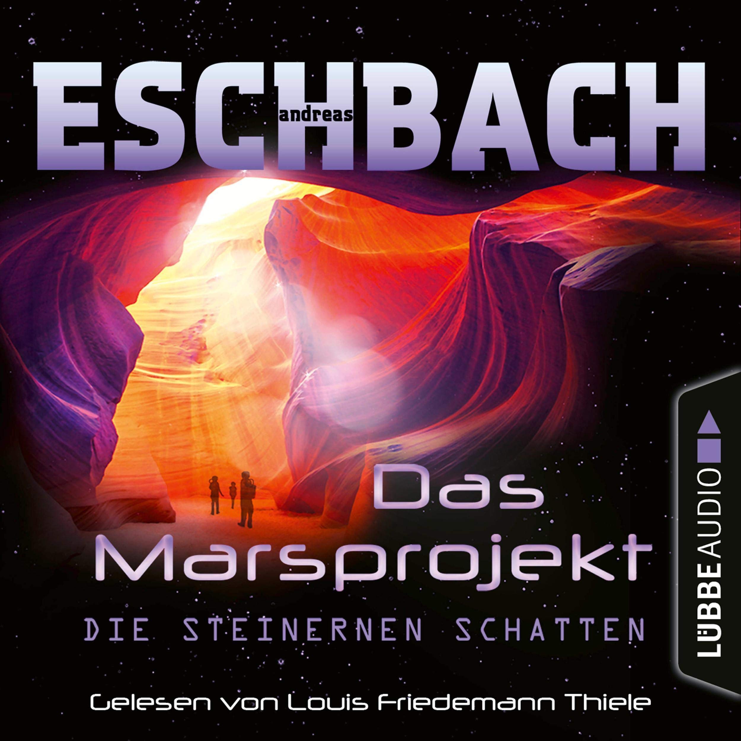 Cover art for Die steinernen Schatten