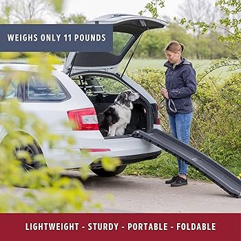 Trixie Pet Folding Ramp Plastic/Sandpaper 40x156cm Up To 90kg | Billig
