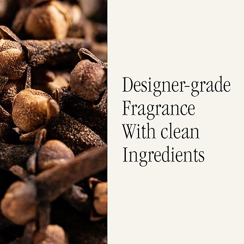 Miniatura 4 de Pura and Aromatique - Fragancia para difusores de aire para el hogar inteligente, ambientador de habitación, aromas de aromaterapia para dormitorios