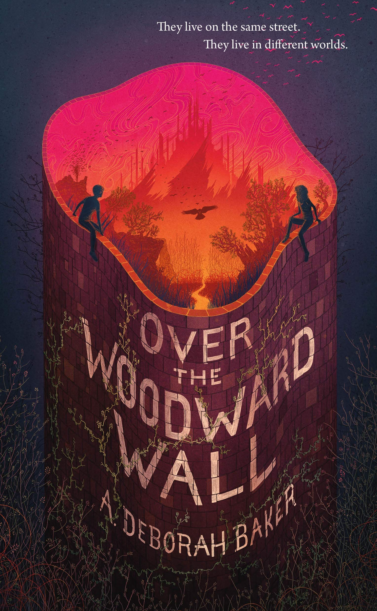 Over the Woodward Wall-Baker, Deborah, A. Deborah Baker,