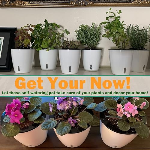 Miniatura 8 de Paquete de 10 macetas de riego automático de 5 pulgadas para plantas de interior con indicador de agua, macetas de violeta africana con maceta de
