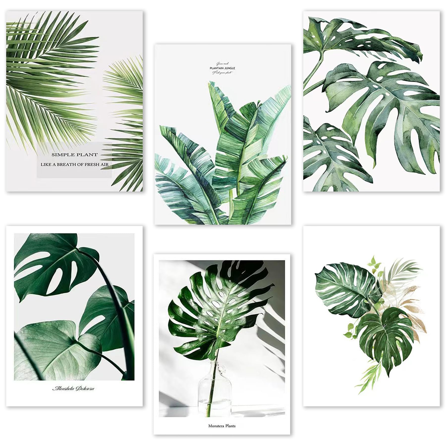 OPUHOHR6 PCS Canvas Posters Wall Art, Wall Decor Posters for Living Room Decoration, Botanical Prints Unframed Wall Art Leaf Posters Green Decor (8"x10" UNFRAMED)