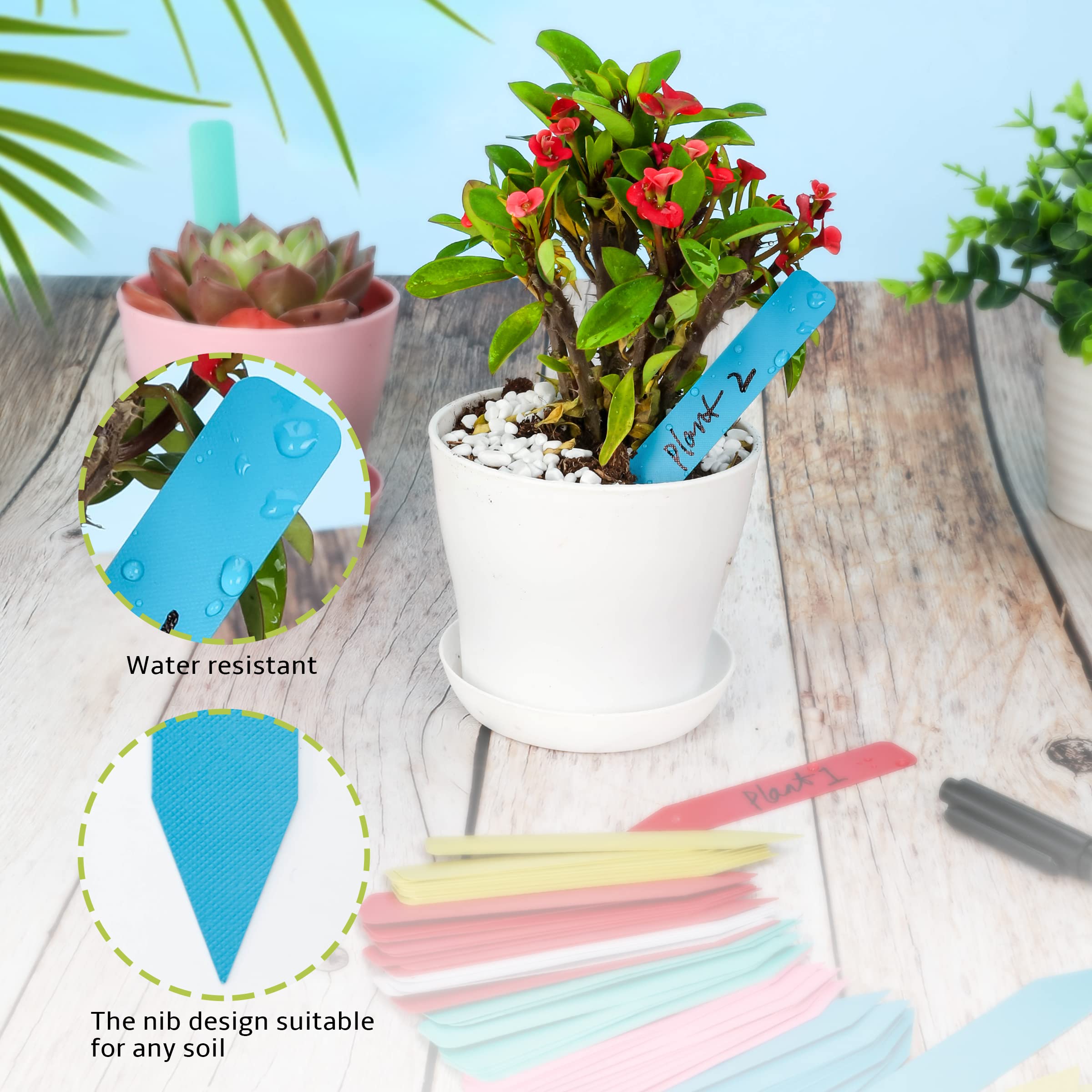 Etichette per piante, 300 pezzi, 10,2 cm, in plastica, per piantine, etichette da giardino, etichette per piante da vivaio, etichette per semi, etichette per piante da giardino all'aperto, paletti