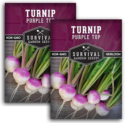 Paquete de 2 semillas de nabo moradas para plantar, paquete con instrucciones para cultivar verduras saludables y vegetales de raíz en tu huerto
