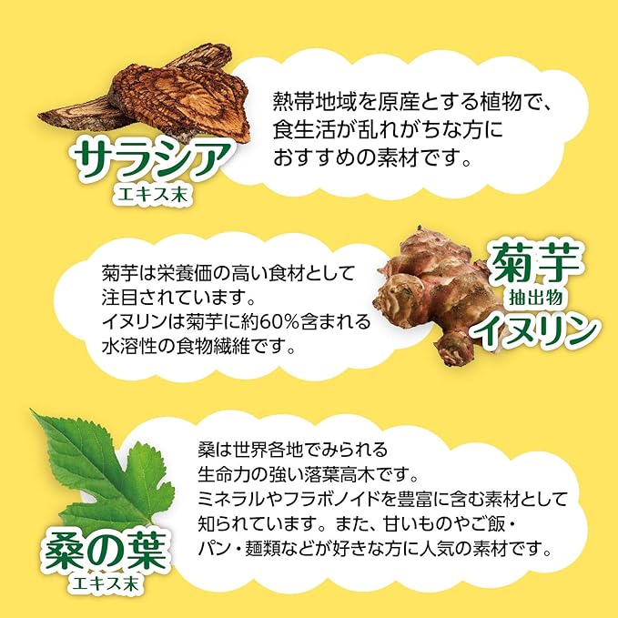 菊芋イヌリン粒 180粒 山本漢方