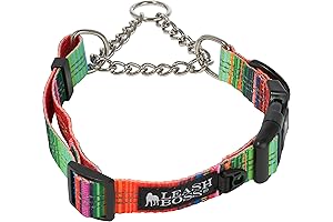 Leashboss Martingale Dog Collar with Chain: The Ultimate Training Collar for Maximum Control and Safety