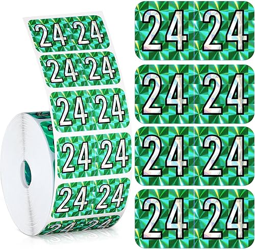 Teling 500 calcomanías para el año 2024, carpetas de archivos, etiquetas de año rectangulares codificadas de colores, autoadhesivas, etiquetas de
