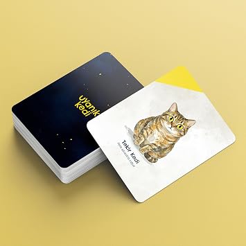 Uyanık Kedi – Eşleştirme Kart Oyunu | Baykuşları Eşleştir, Kediden Kurtul, Oyunu Kazan | 2-6 Oyuncu 6+ Yaş | Dikkat Odaklı Eğlence