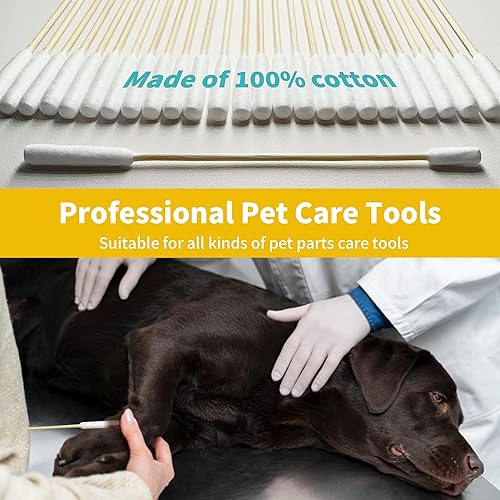 Miniatura 5 de 100 hisopos de algodón de 6 pulgadas de largo en caja, hisopos de algodón grandes profesionales con mango de bambú, hisopos de doble cara para