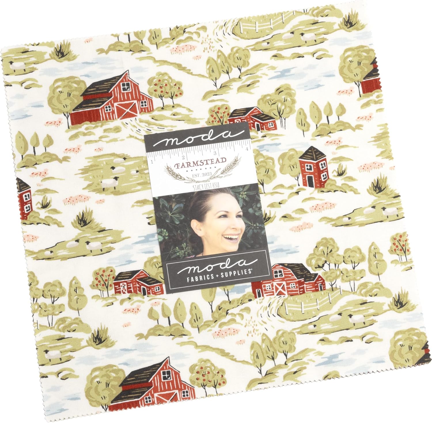 Stacy Iest Hsu Farmstead Layer Cake 42 10-inch Squares Moda Fabrics 20900LC