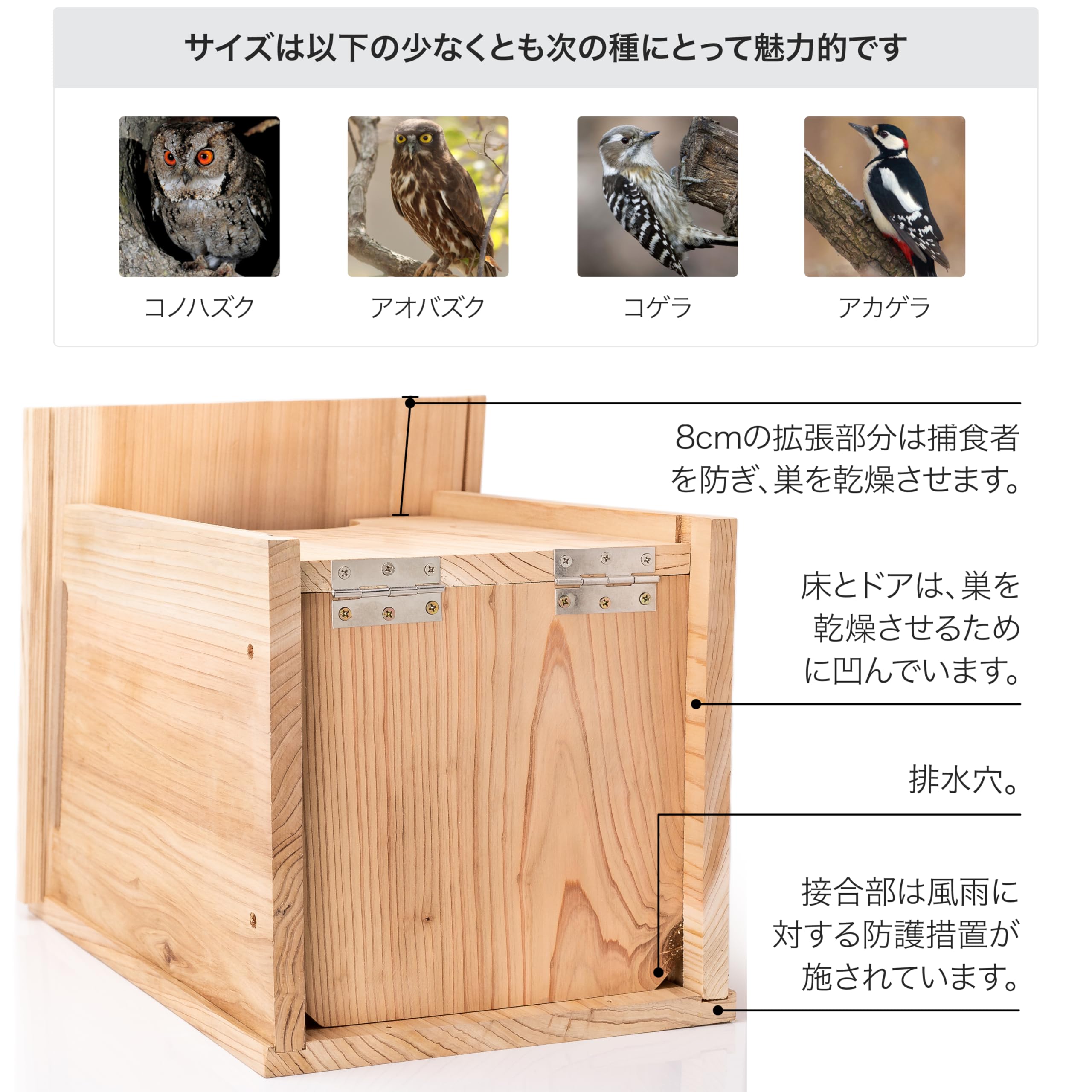 Amazon.co.jp: WHITEHORSE 大型フクロウハウス - プレミアム