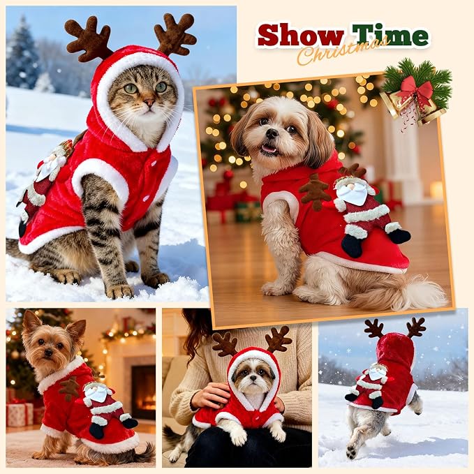 Disfraz de Navidad para Perro Pequeño con Capucha y Elfo miniatura 3