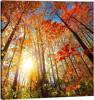 Pyradecor Large Canvas Prints Wall Art Last Hint of Sunset Pictures Paintings for Living Room Bedroom Home Decorations Modern Stretched Nature Landscape Artwork