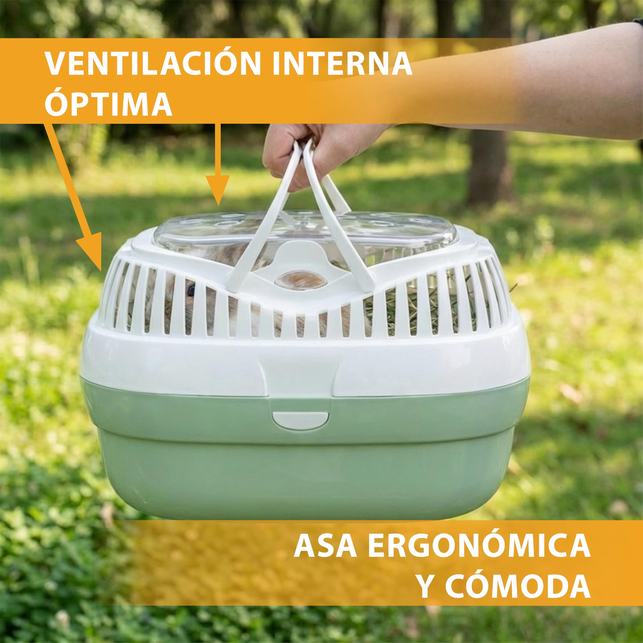 Ferplast Trasportín para Conejos, Conejillos de Indias y Ratones ALADINO Large Jaula de Viaje para roedores y Conejos, Plástico, Rejillas de ventilación, Cómoda asa, 36 x 26 x h 23 cm Verde