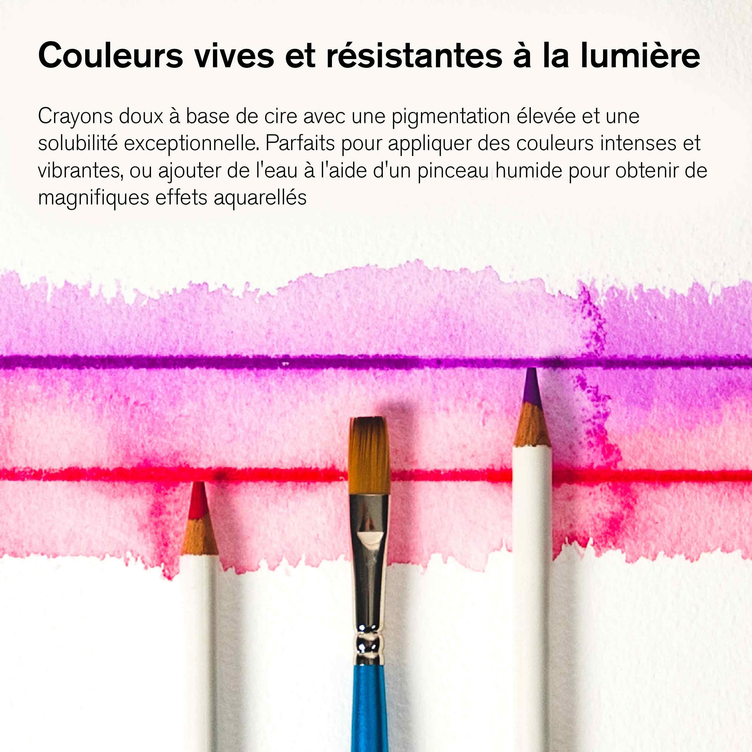 Winsor & Newton Studio Collection Boite Assortiment de Crayons Aquarelle