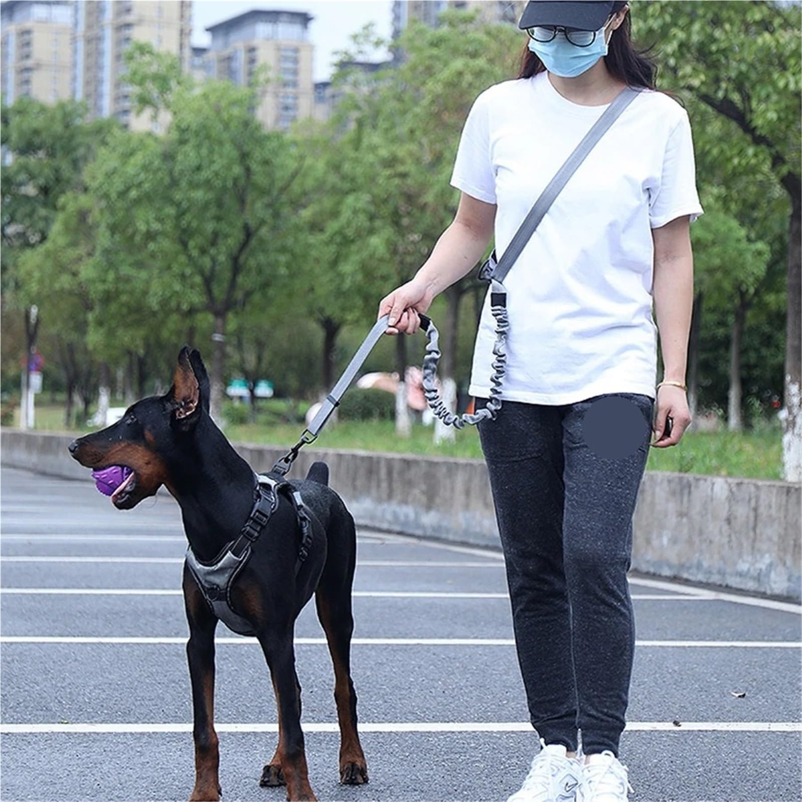 Laisse for Chien Mains Libres for la Marche, la Course, Le Jogging, réglable, Ceinture de Taille, Sangle de Poitrine, Corde de Traction pour Ceinture, Running