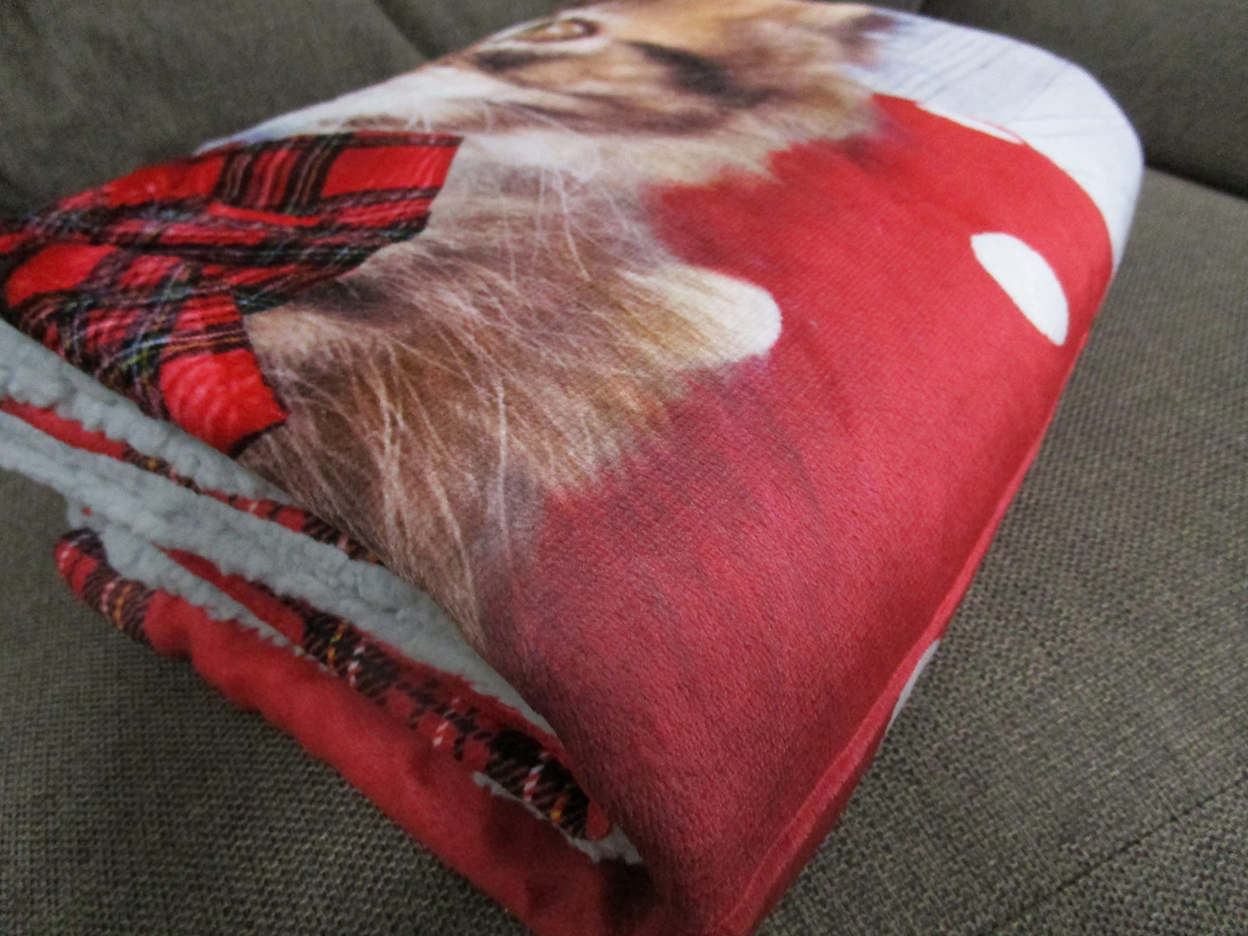 Coperta Plaid Letto Matrimoniale Leopardo Marrone 210x240 Cm – Morbida Microfibra Con Retro Agnellato, Calda E Lavabile - 2