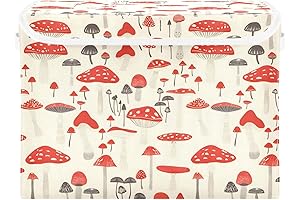 senya Large Fabric Storage Bins with Lids for Home