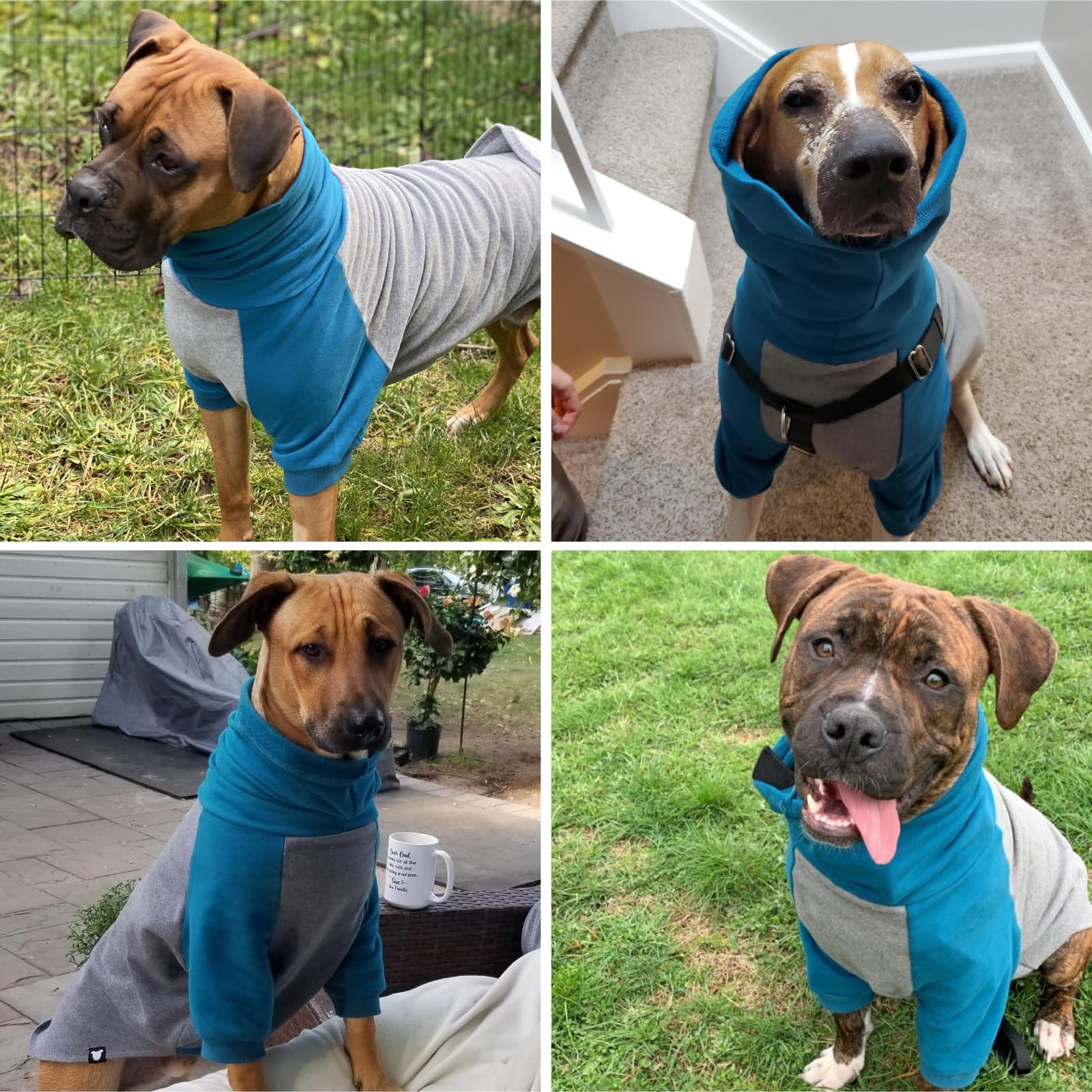 Tooth & Honey Hundepullover, Größe L, M, XL, Blaugrün/Grau