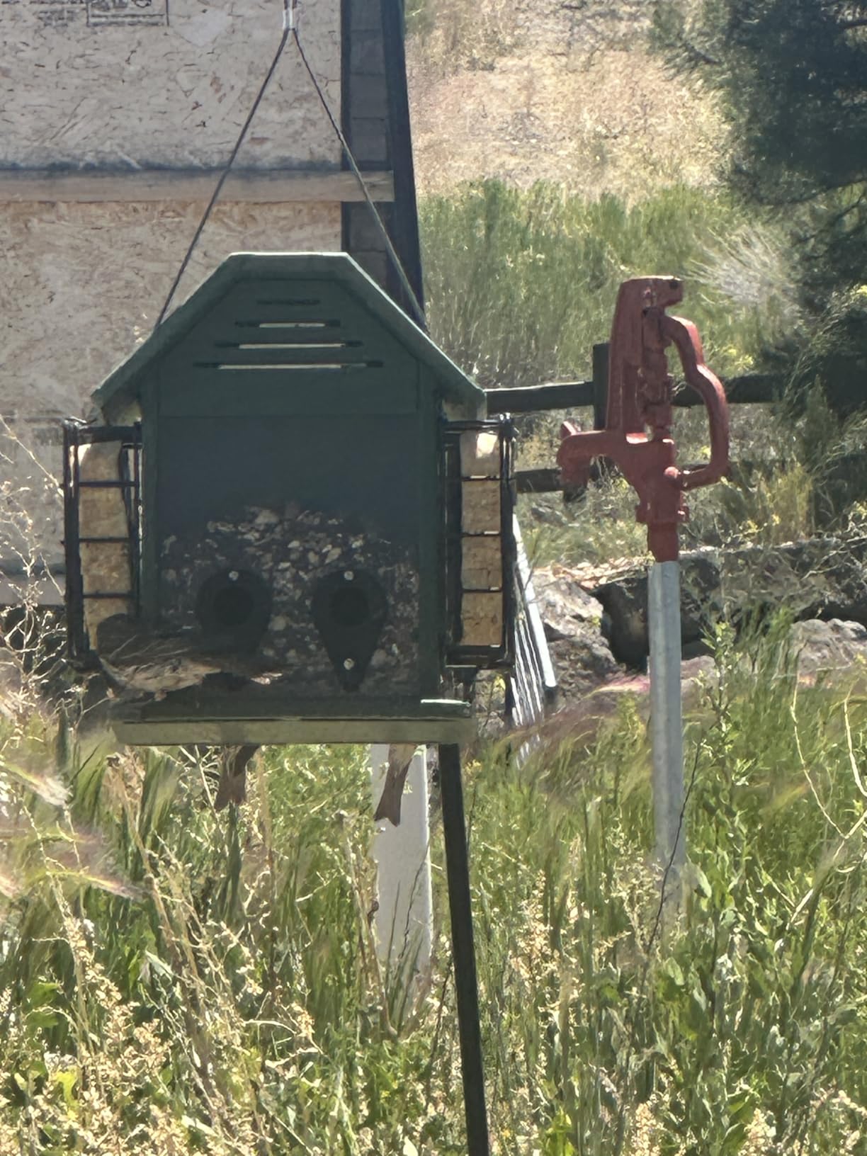 Kaytee Nut & Fruit Wild Bird Seed, 5 lb photo review