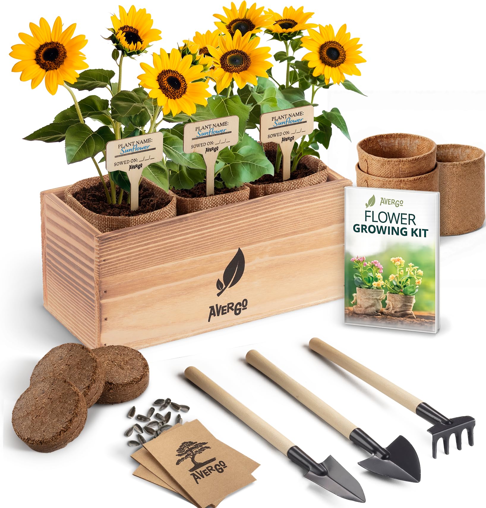 AVERGO Sunflower Seeds Growing Kit