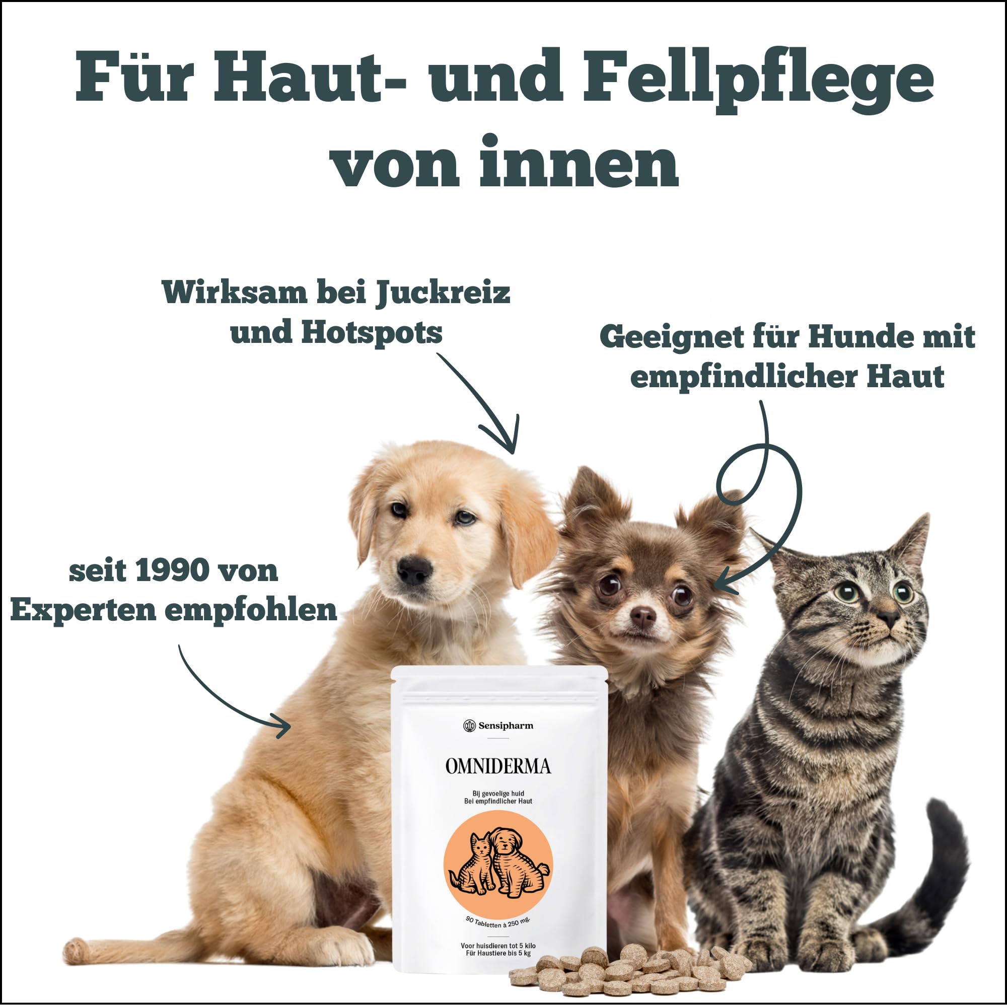 Omniderma - Juckreiz Tabletten bei Haut- & Fellproblemen Katzen, Kleine Hunde, Meerschweinchen & Kaninchen - Natürliche Kräuterformel bei Ekzem & Hautirritationen - 90 Tabletten à 250 mg