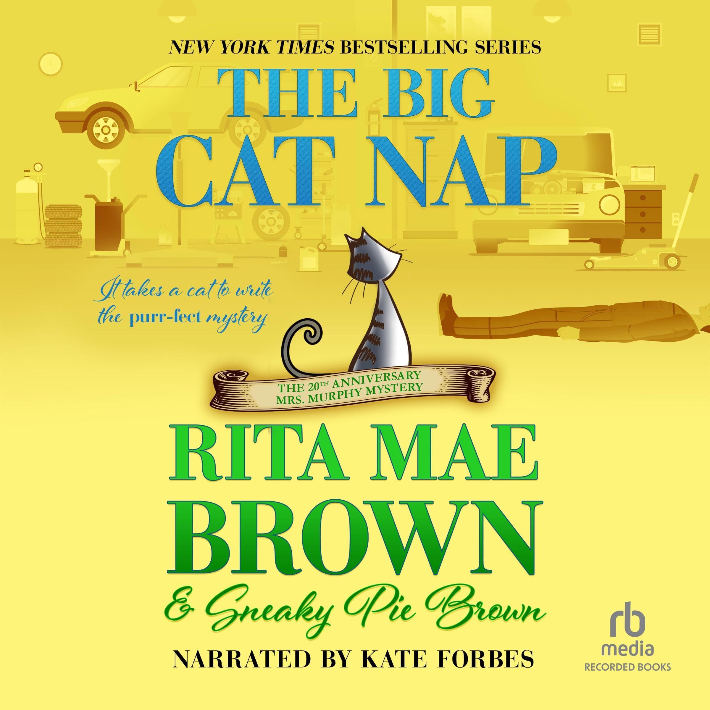 Cover art for The Big Cat Nap