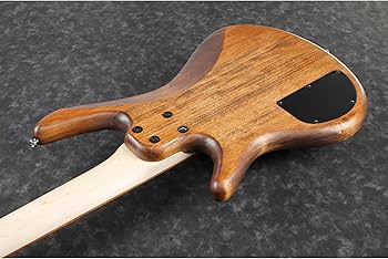 GIO Ibanez 5弦ベース エレキ　GSR105EX 初心者向け　ケース付 GIO Ibanez 5弦ベース エレキ GSR105EX 初心者向け ケース付 Ibanez