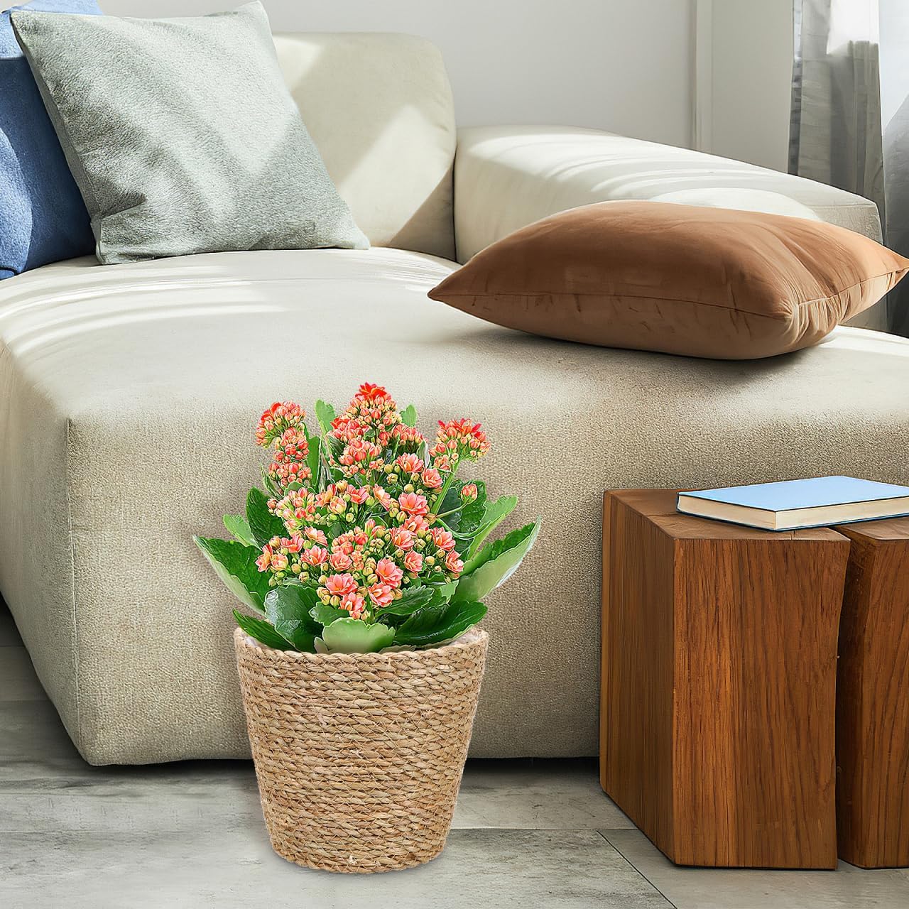 Hemoton Rattan Planter Basket Wicker Plant Flower Pot 8.7 Inch Seagrass Woven Indoor Planter for Home Decor and Succulent Plants