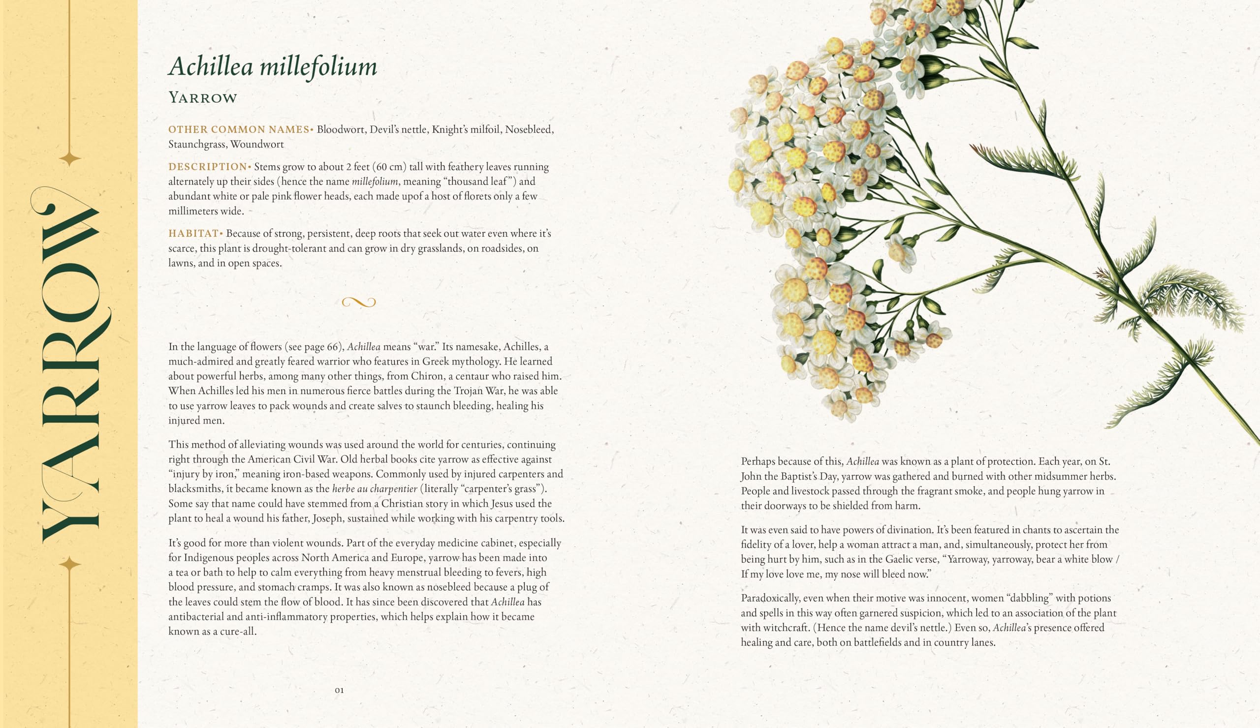 The Folklore of Wildflowers: Stories and History in Bloom