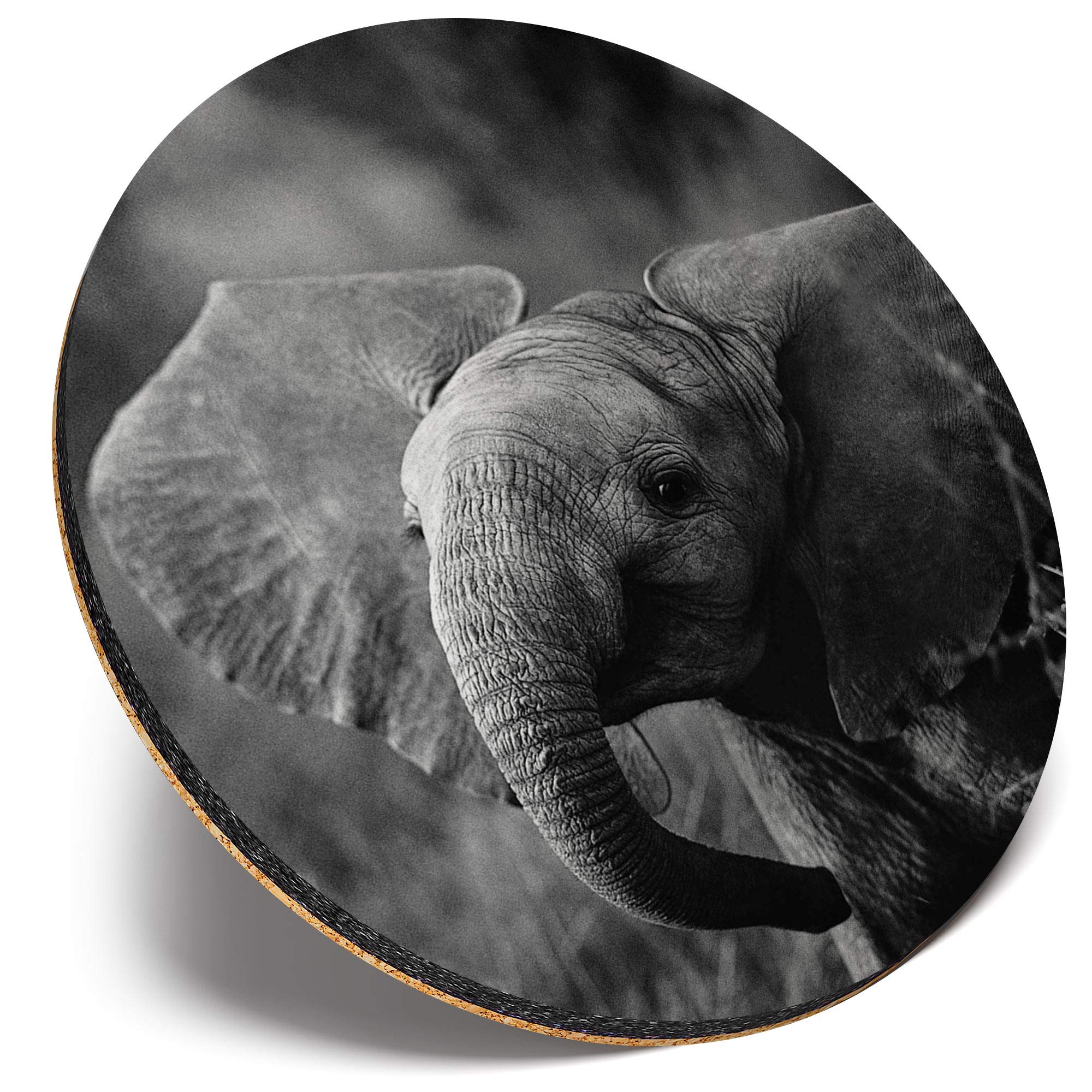 Destination Vinyl Ltd Multicolor Round Single Coaster - Bw - Baby Elephant Wild Animal |Glossy Quality Coasters | Tabletop Protection For Any Table Type #35670