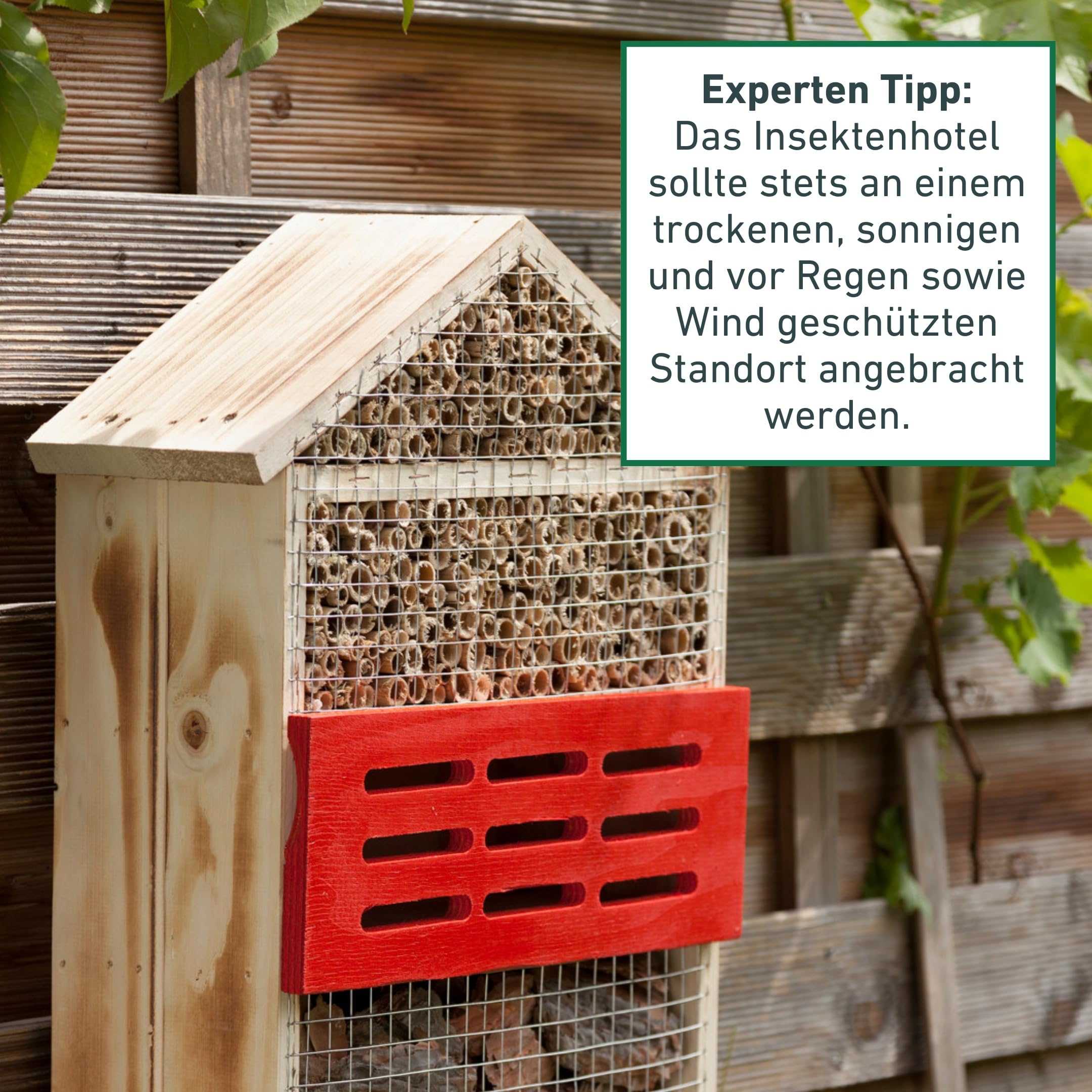 Windhager Insektenhotel 5 Sterne, Insektenhaus Nistplatz Brutplatz, Schutz für viele Insekten, aus Massivholz, gefüllt mit Rinde und Schilfrohr, 06974