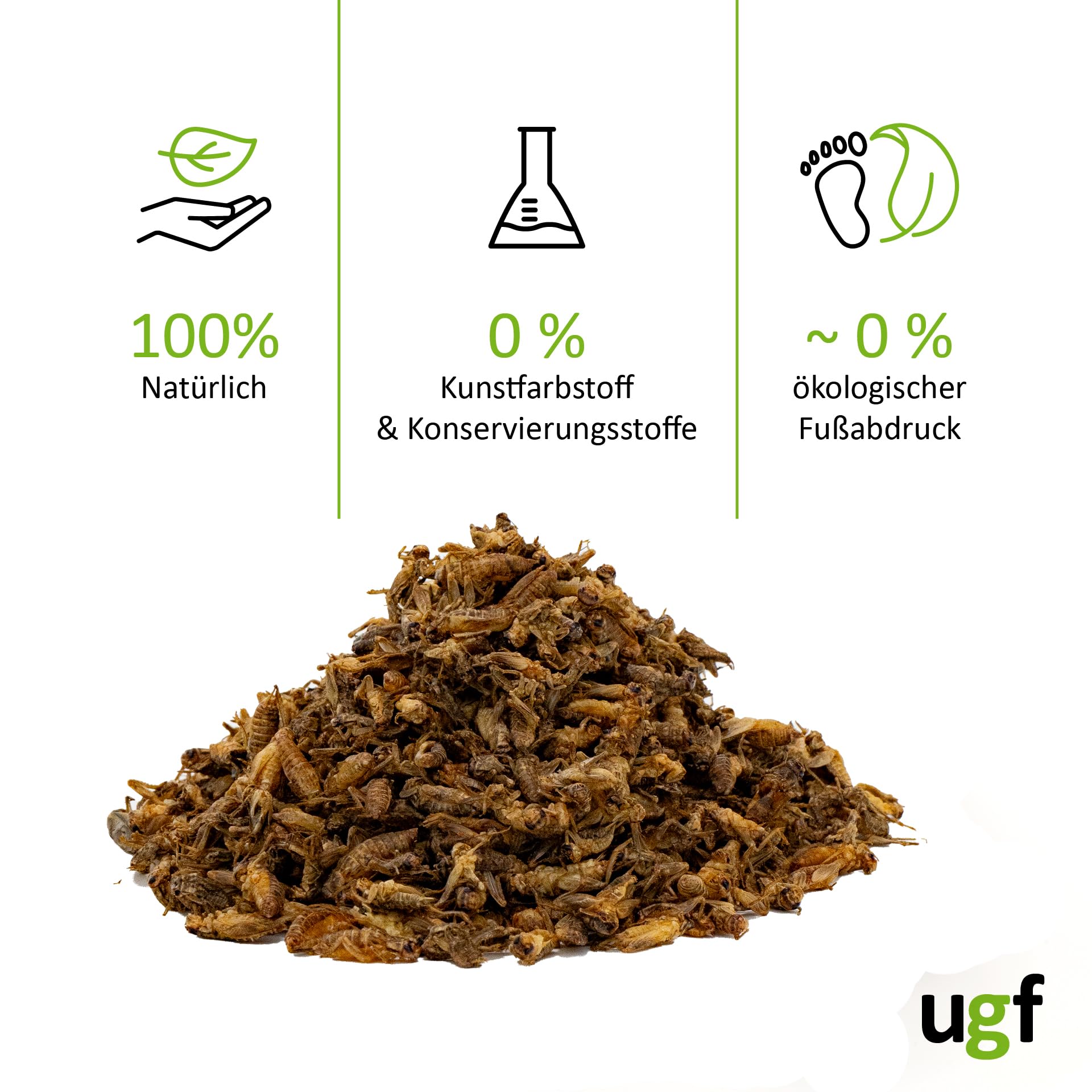 UGF - Suszone małe świerszcze - 80 g w wiaderku 500 ml, Owady świerszcze, Karma dla ptaków dzikich (całoroczna), Karma dla żółwi, Karma dla jeży, Karma dla jaszczurek, Karma dla ryb