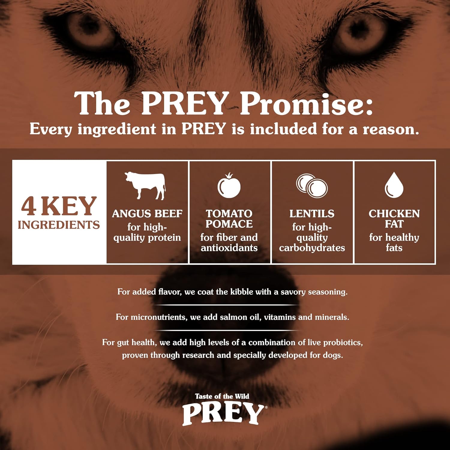 Taste of the Wild Prey Real Meat High Protein Angus Beef Limited Ingredient Dry Dog Food Grain-Free Recipe Made with Real Pasture-Raised Beef and Probiotics for All Life Stages 25lb