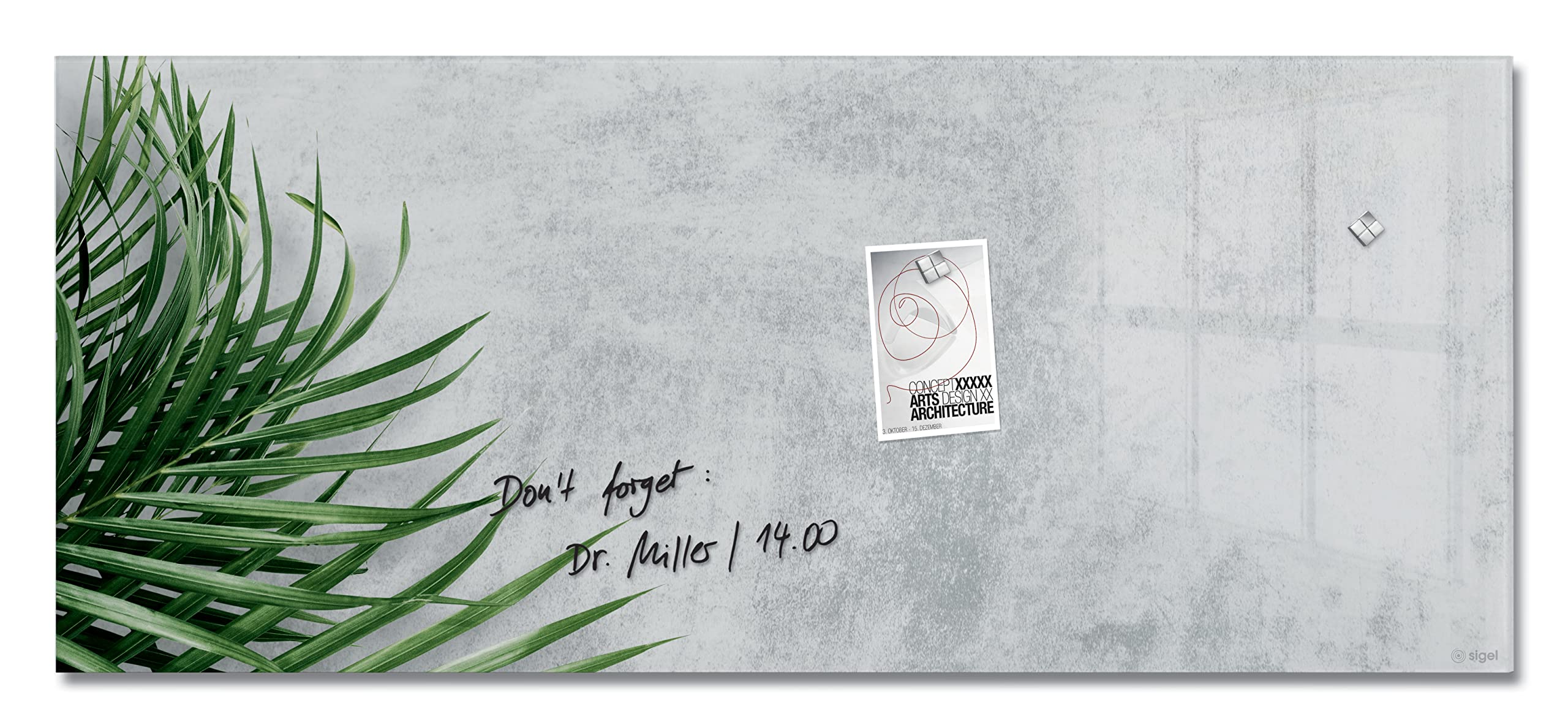 Sigel Wall Mounted Magnetic Glass Board 1300x550x18mm - Botanic Design